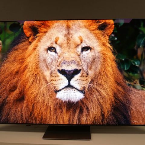 QD-OLED  i 55 tommer fra Samsung (QE55S95B)