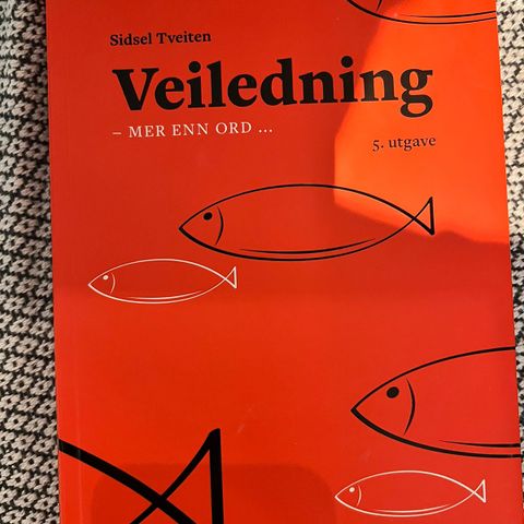 Veiledning - mer enn ord. Sissel Tveiten (2019)