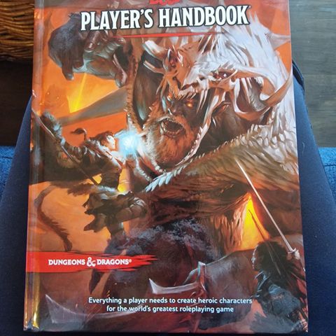 Dungeons & Dragons player's handbook