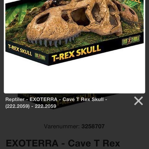 Ønsker å kjøpe cave t-rex skull