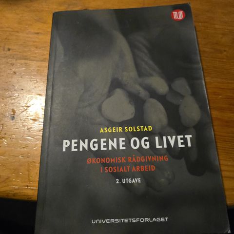 Pengene og livet - Økonomisk rådgivning i sosialt arbeid