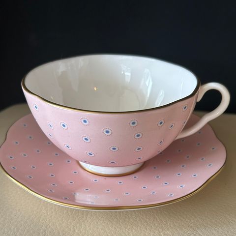 POLKA DOT WEDGWOOD