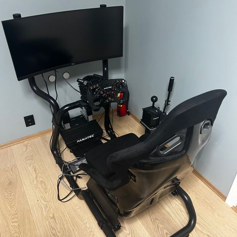 Racing sim