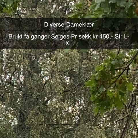 Dameklær pent brukt