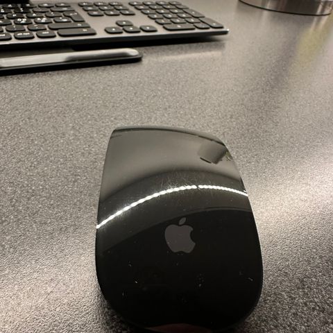 Apple magic mouse sort 2023