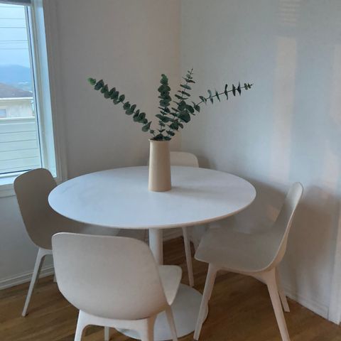 Pent Palma spisebord fra skeidar og stoler fra IKEA