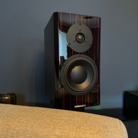 Dynaudio special 40 med Stand 20