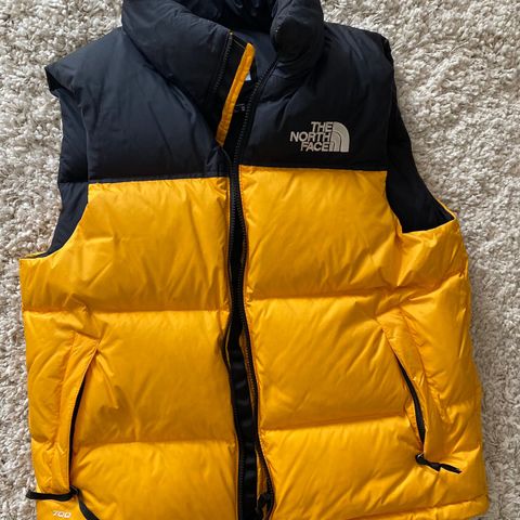 THE NORTH FACE VEST M.