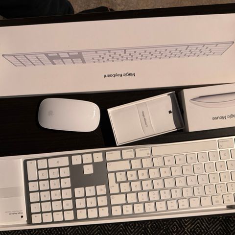 Magic Keyboard and Mouse