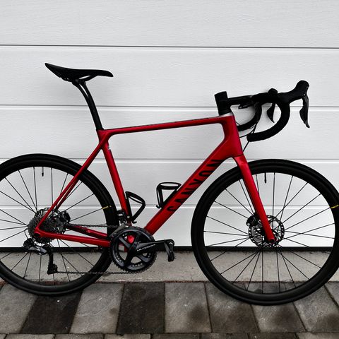 2019 Canyon Endurance CF SL 8.0 Di2. str L