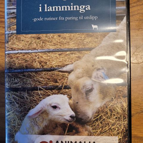 DVD helse og velferd i lamminga