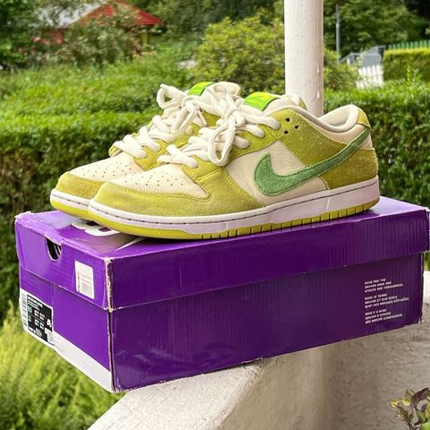 Nike Dunk SB low sko (43)