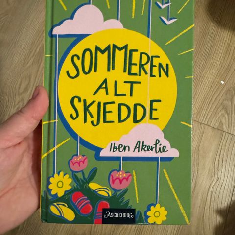 Sommeren alt skjedde av Iben Akerlie