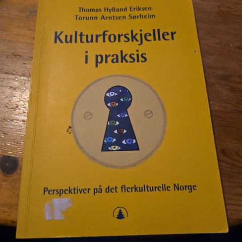 Kulturforskjeller i praksis