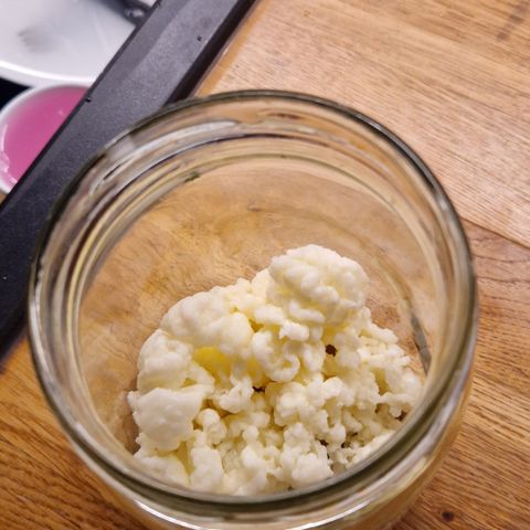 Kefirkorn, melkekefir, melkesyrebakterier