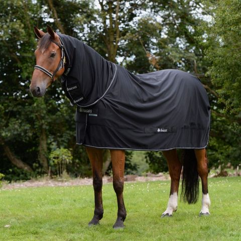 Bucas stay dry rug