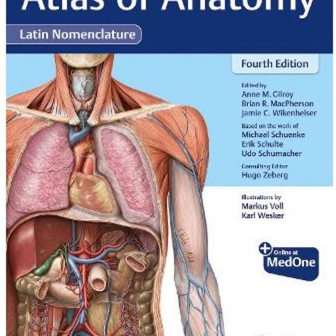 Atlas of anatomy (pensumbok)