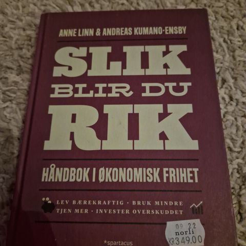 Slik blir du rik