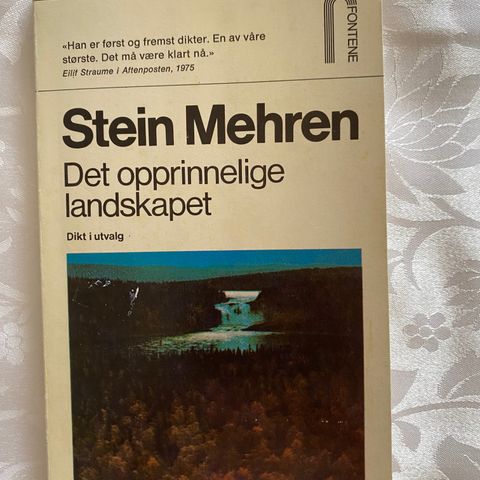 Stein Mehren - Det opprinnelige landskapet