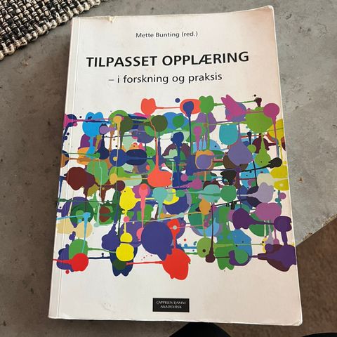 Tilpasset opplæring - i forskning og praksis