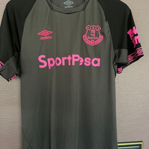 Everton 2018-19 borte drakt