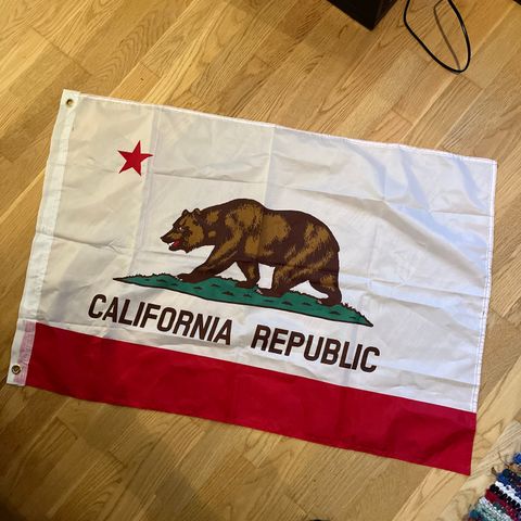 California rebublic flagg