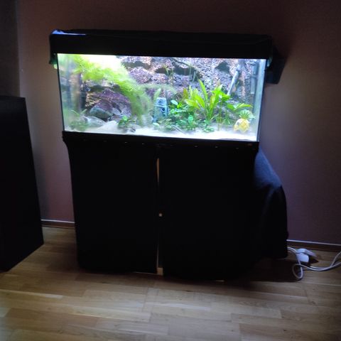 Akvarium 180 liter med 3d bakgrunn