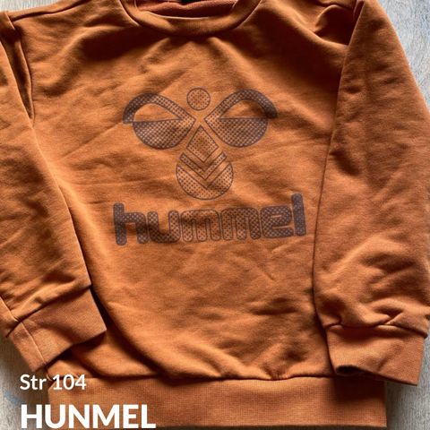 Hummel str 104