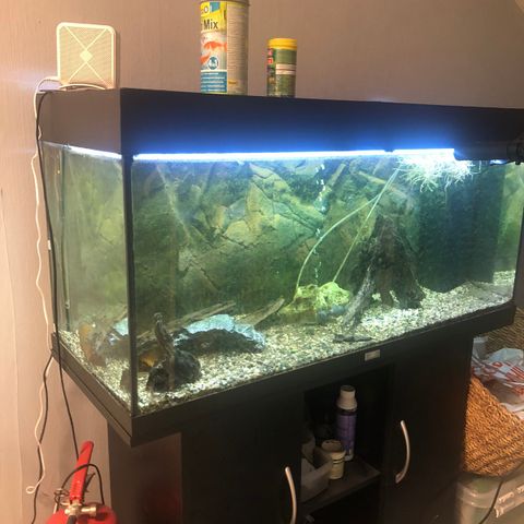 Akvarium, 180 liter Juwel