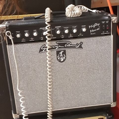 Marshall 5010 Master Lead 30