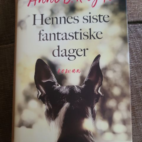 Anne B. Ragde - Hennes siste fantastiske dager