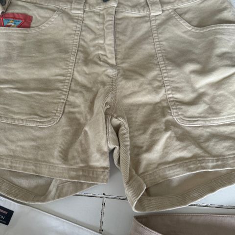 Amundsen shorts