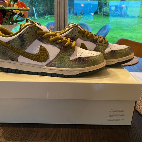 Nike sb dunk low chameleon