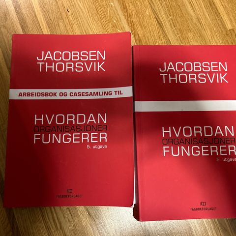 Hvordan organisasjoner fungerer 5 utgåve