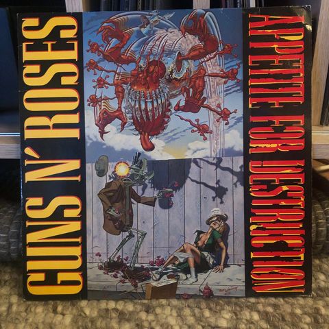 Guns n Roses vinyl samling