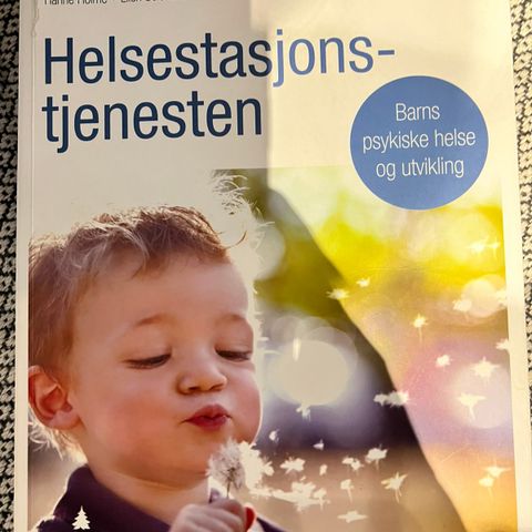 Helsestasjonstjenesten