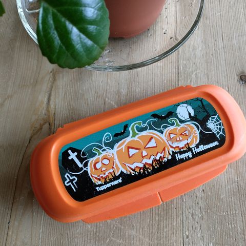 Tupperware Halloween brilleetui eller til det du måtte ønske 🧡