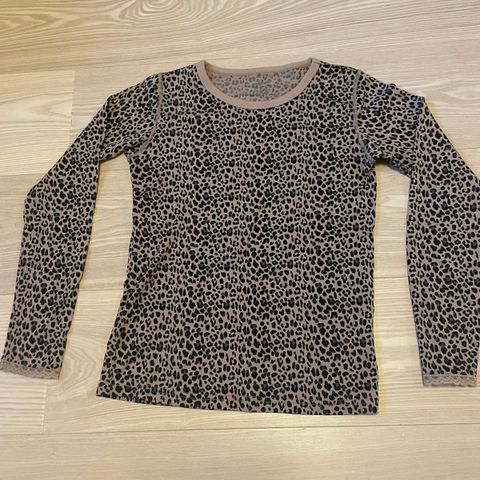 Leopard ullgenser