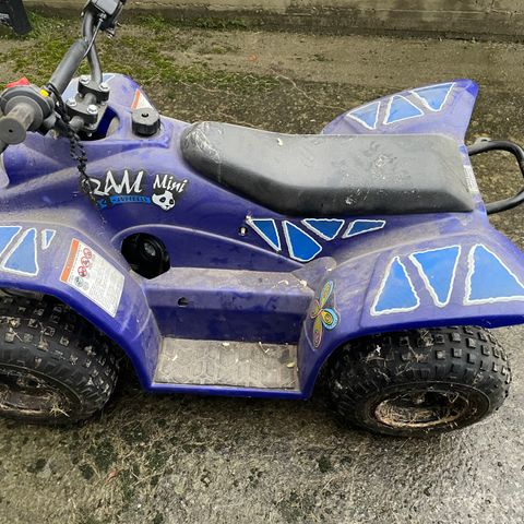 ATV 50ccm «RAM»