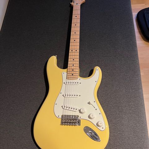 Fender Stratocaster player