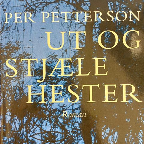 Ut og stjæle hester, av Per Petterson