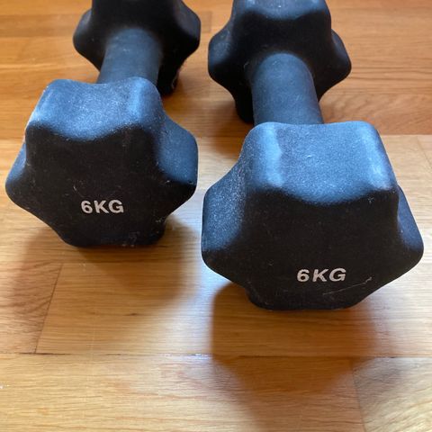 Pent brukte dumbells/ treningsmanualer