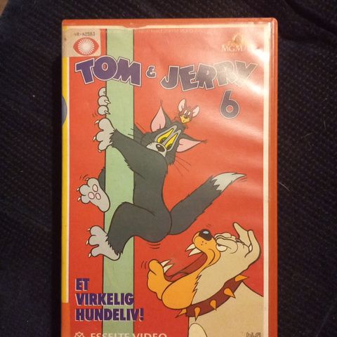 Tom & Jerry 6