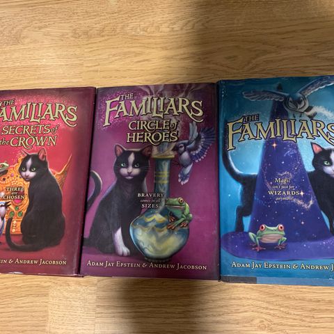 Barnebok serie på engelsk, Children’s books in English.  “The Familiars”