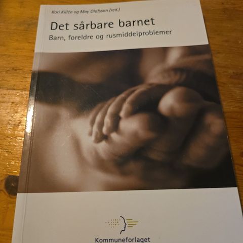 Det sårbare barnet