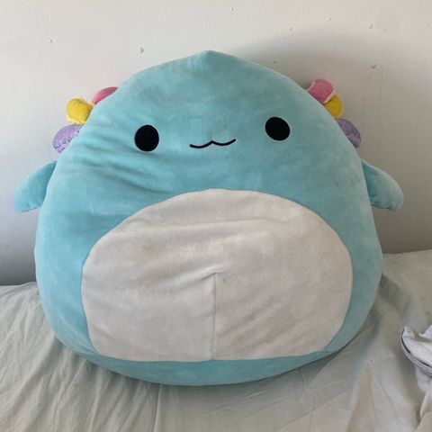 Squishmallow stor