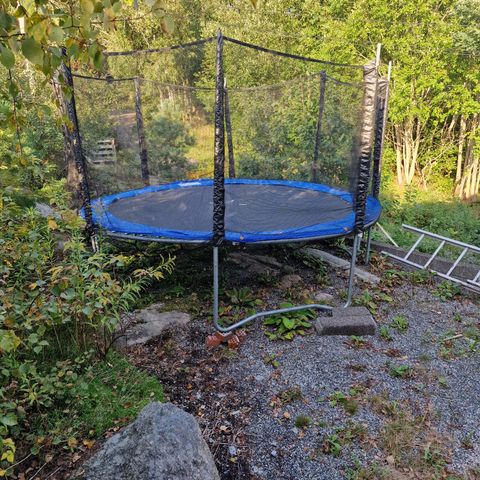 Trampoline. Ikke noe skade, alt er som det skal