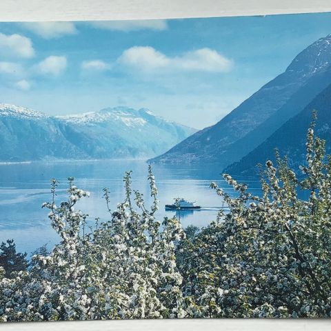 Postkort Hardanger - Fergen Kinsarvik-Kvanndal