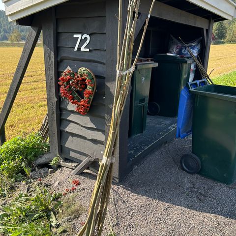 Ekte brøytepisker 10 stk med refleks