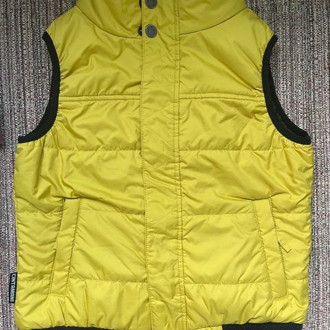 Vest